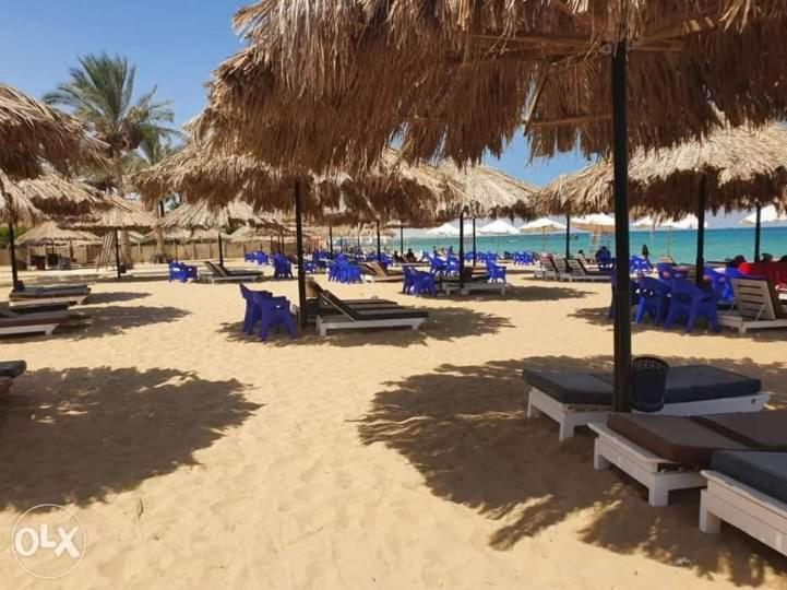 شاليه فرش فندقي بقرية بالميرا بيتش العين السخنه للعائلات Ain Sukhna Exteriör bild