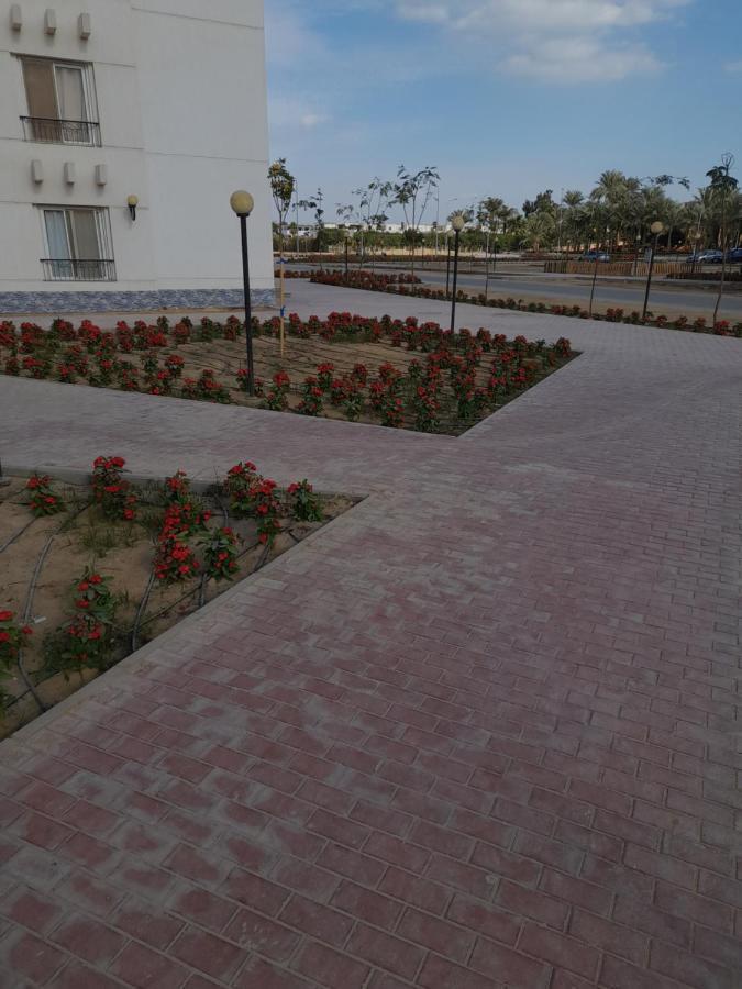 شاليه فرش فندقي بقرية بالميرا بيتش العين السخنه للعائلات Ain Sukhna Exteriör bild